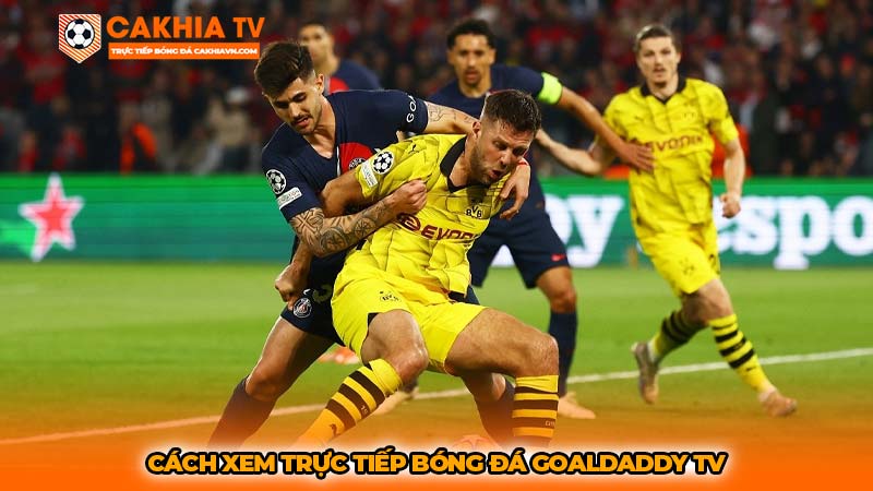 Cách xem trực tiếp bóng đá Goaldaddy TV